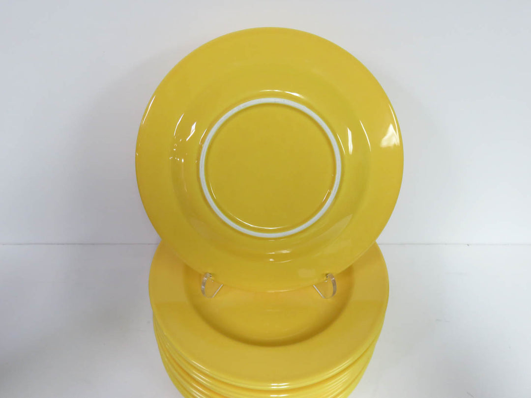Vista Allegra Dinner Plates