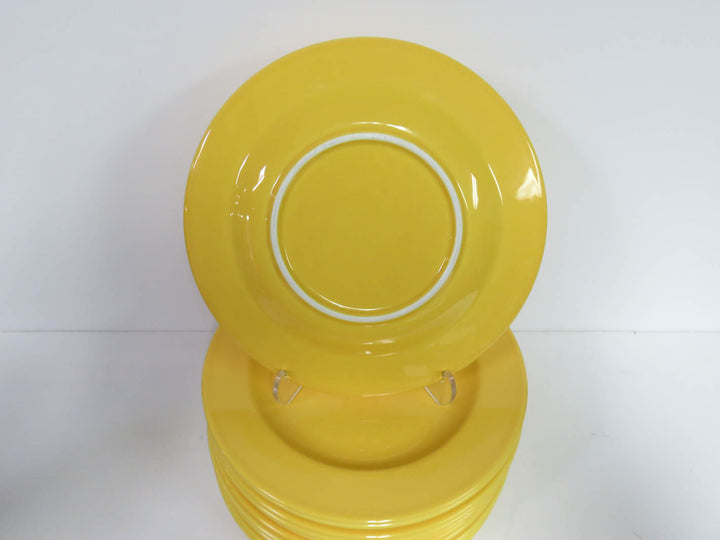 Vista Allegra Dinner Plates