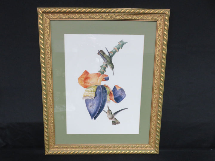 Hummingbird Print