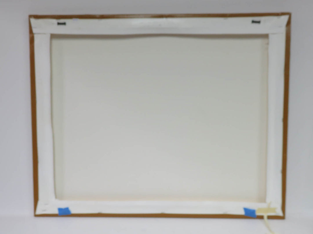 Still Life Canvas Print