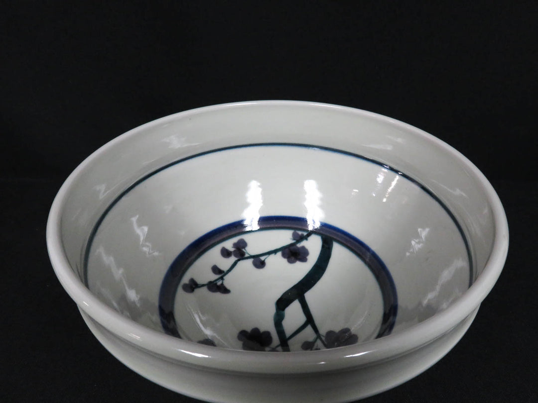 Artisan Painted Bowl