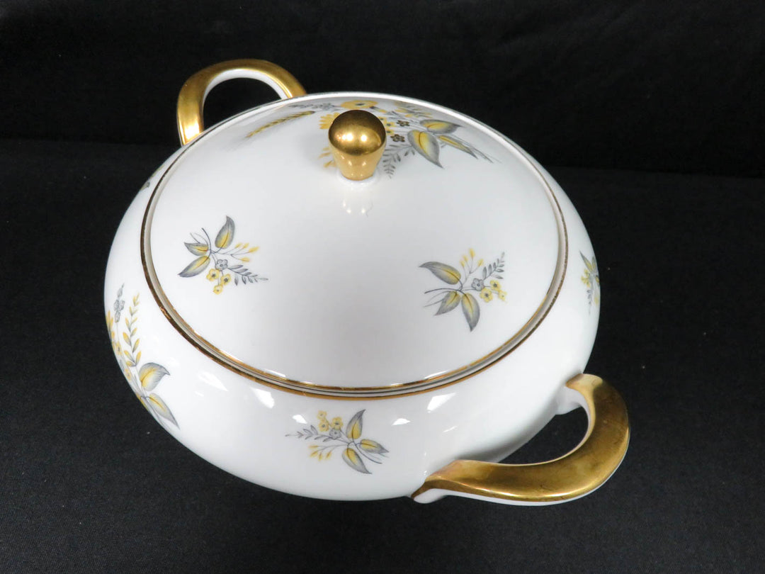 Covered Bowl