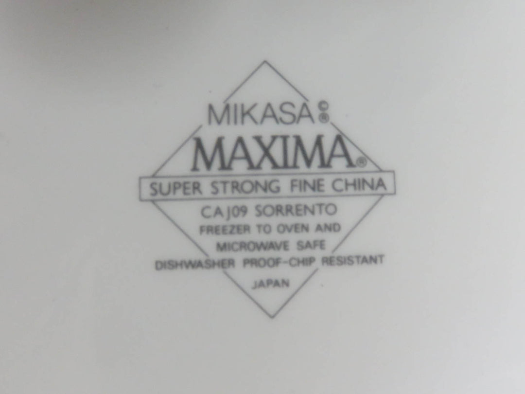 Mikasa Gravy Boat & Underplate