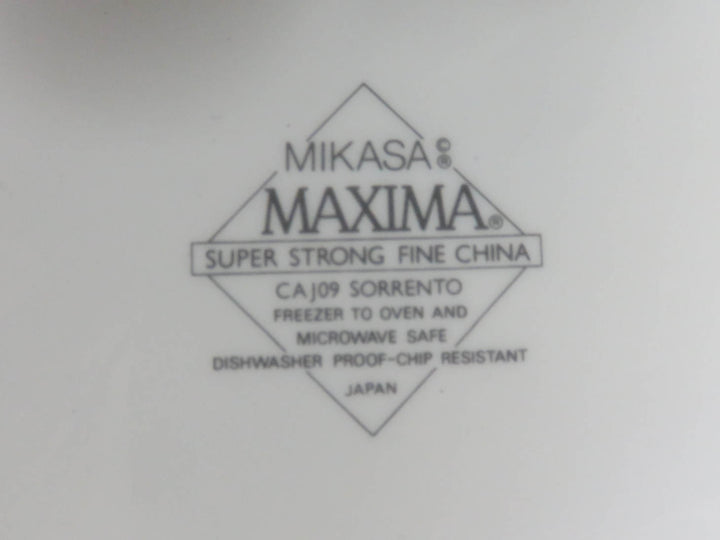 Mikasa Gravy Boat & Underplate