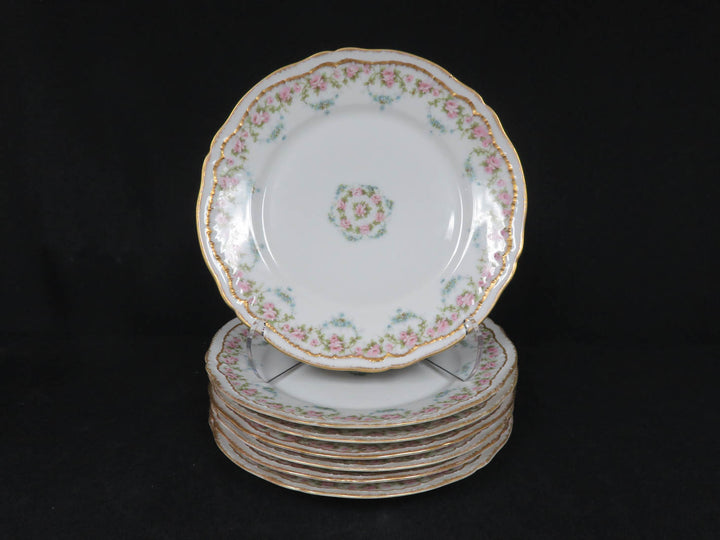 Antique Haviland Plates