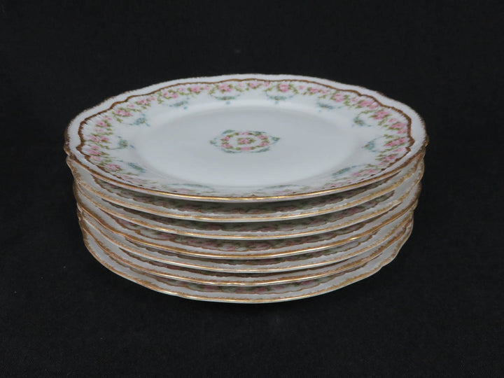 Antique Haviland Plates