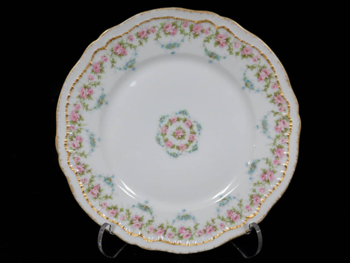 Antique Haviland Plates