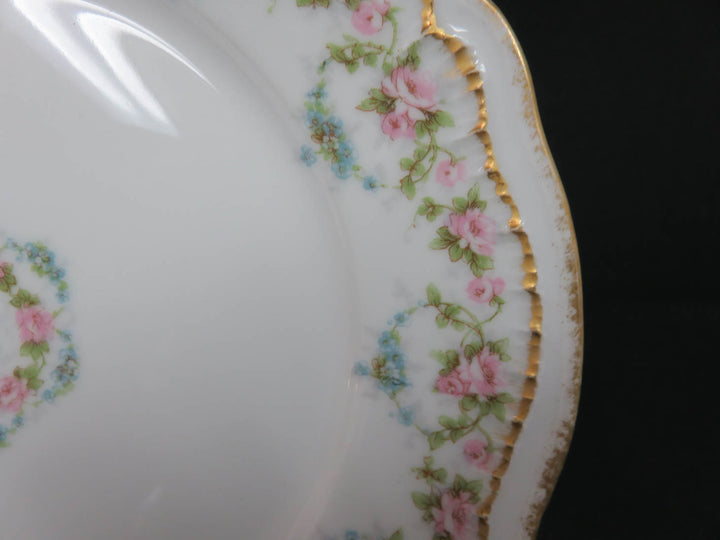 Antique Haviland Plates