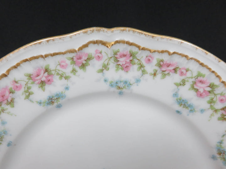 Antique Haviland Plates