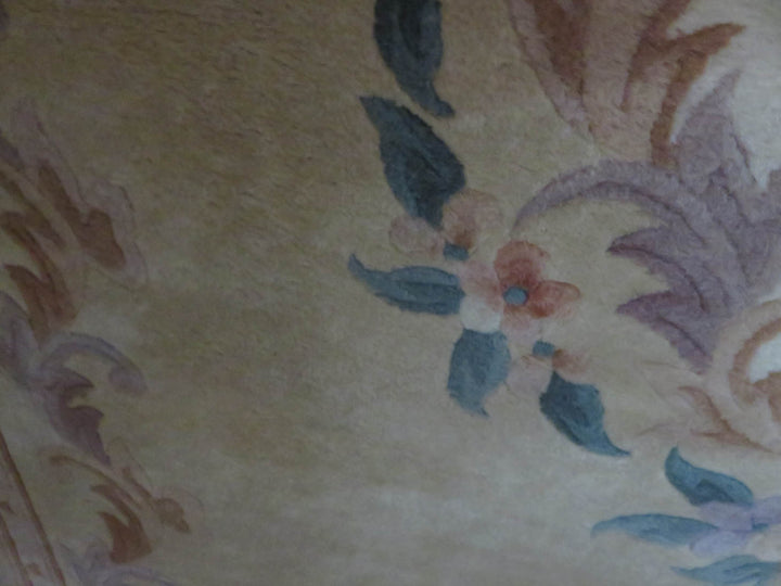 Oriental Area Rug