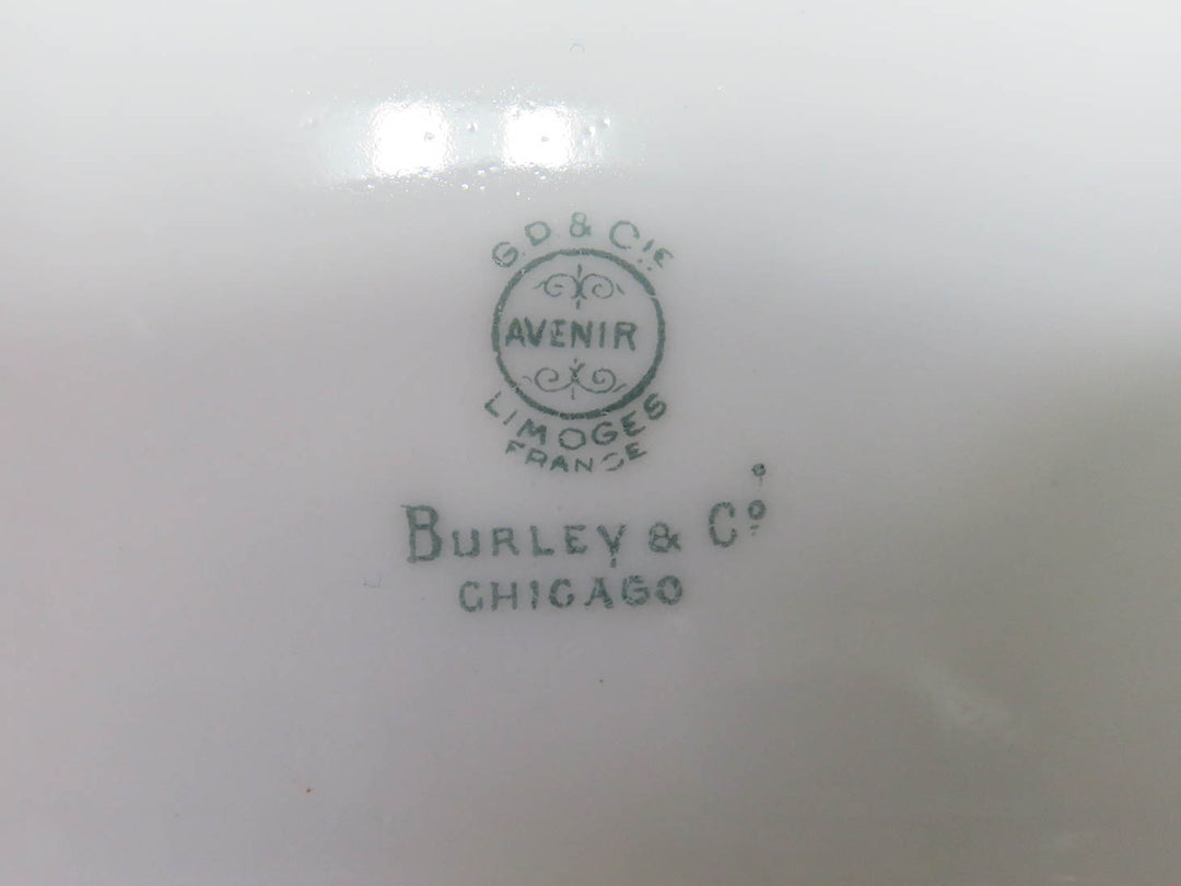 Limoges for Burley & Co. Fish Platter