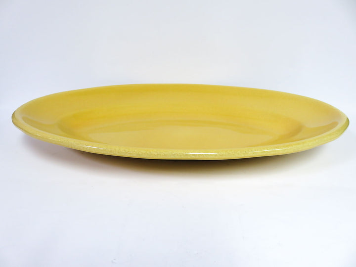 Williams Sonoma Platter