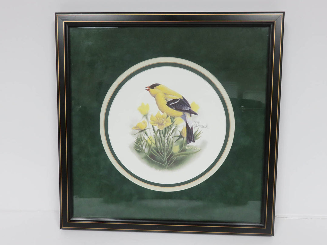 John Bald Goldfinch Print