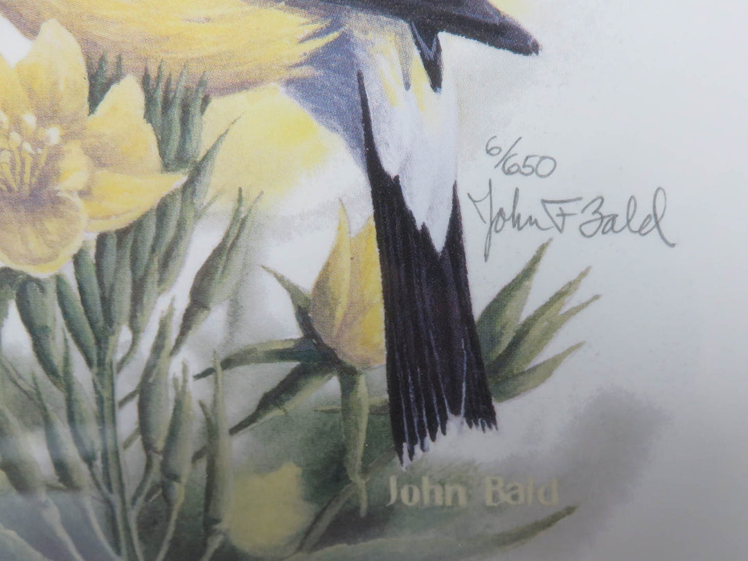 John Bald Goldfinch Print