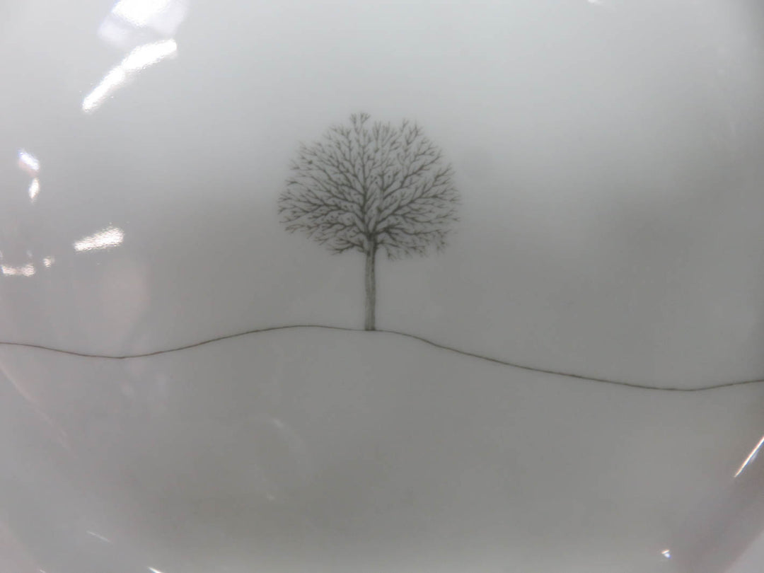 Rosenthal China Set