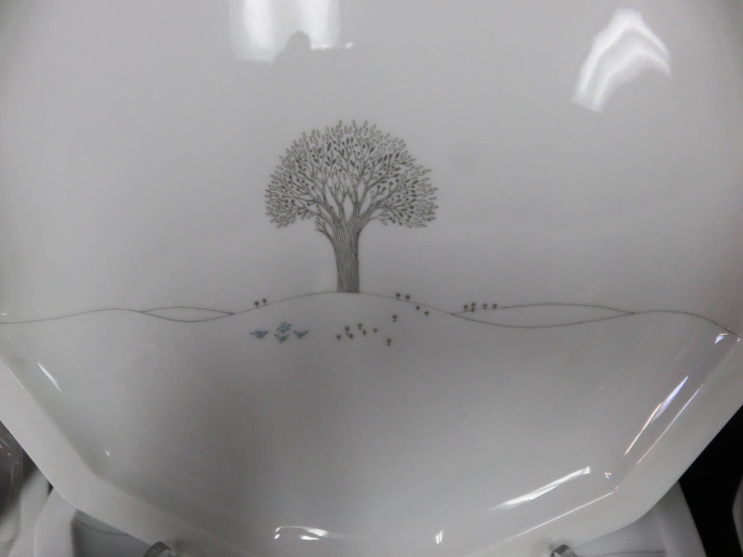 Rosenthal China Set