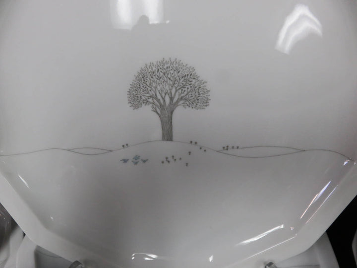 Rosenthal China Set