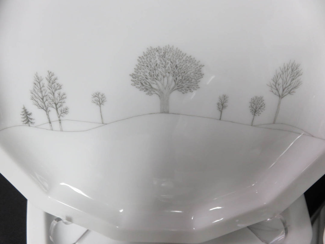 Rosenthal China Set