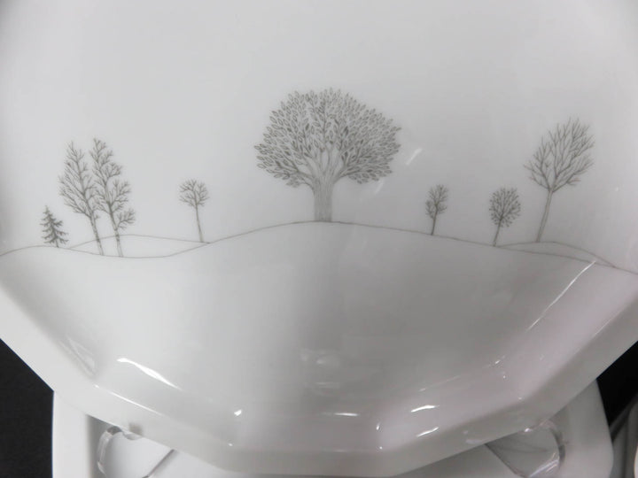 Rosenthal China Set