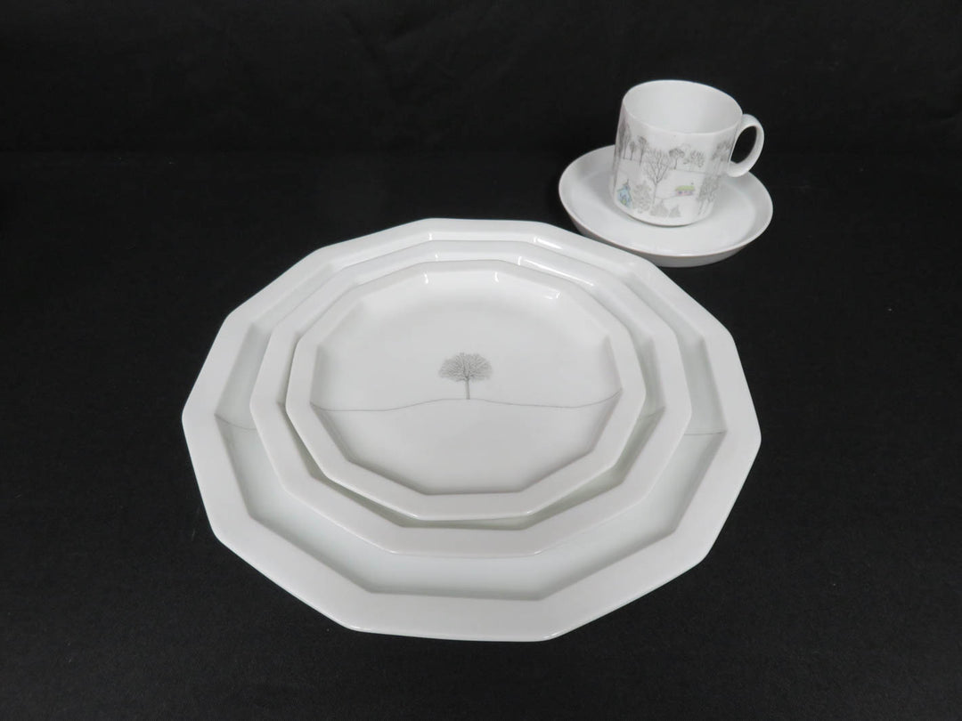 Rosenthal China Set