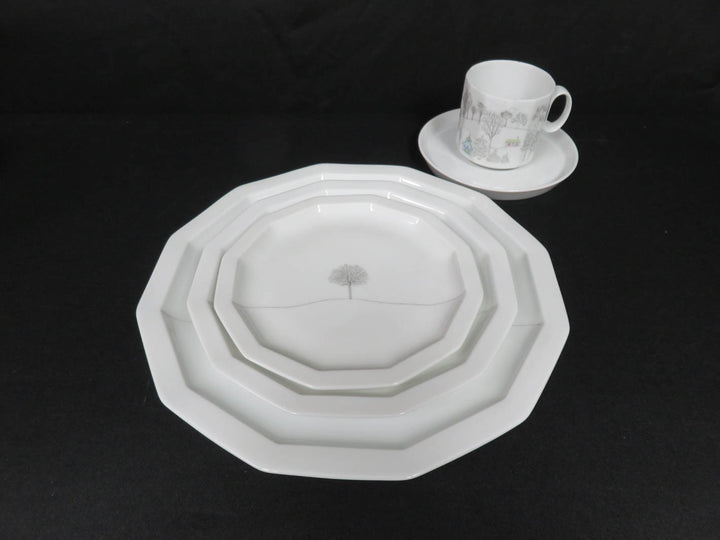 Rosenthal China Set
