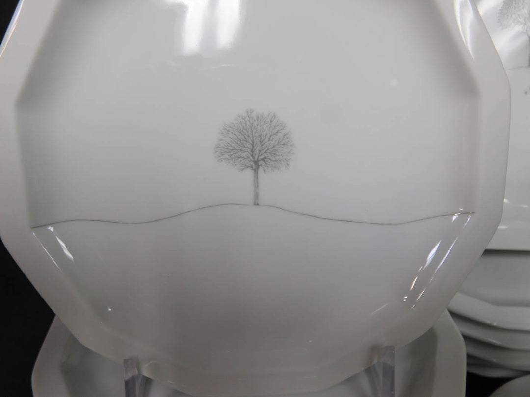 Rosenthal China Set