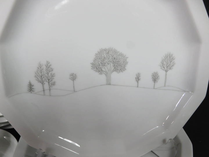 Rosenthal China Set