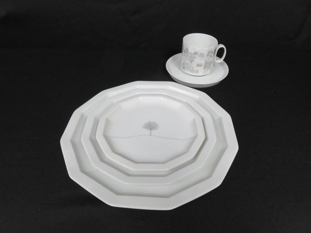Rosenthal China Set