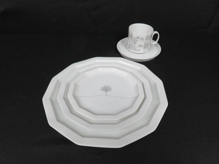 Rosenthal China Set