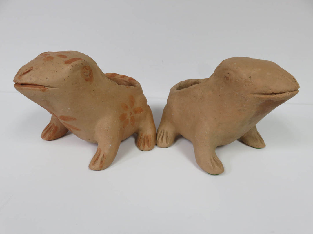Frog Planters