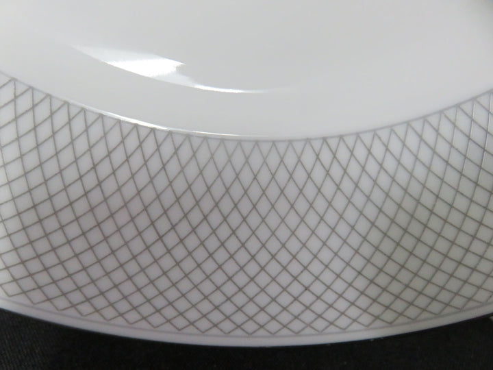 Rosenthal "Platinum Grail"  China Set