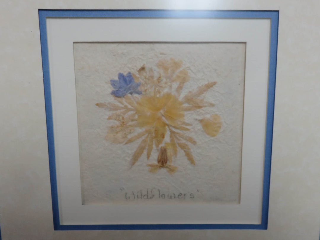 Original Pressed Wildflowers