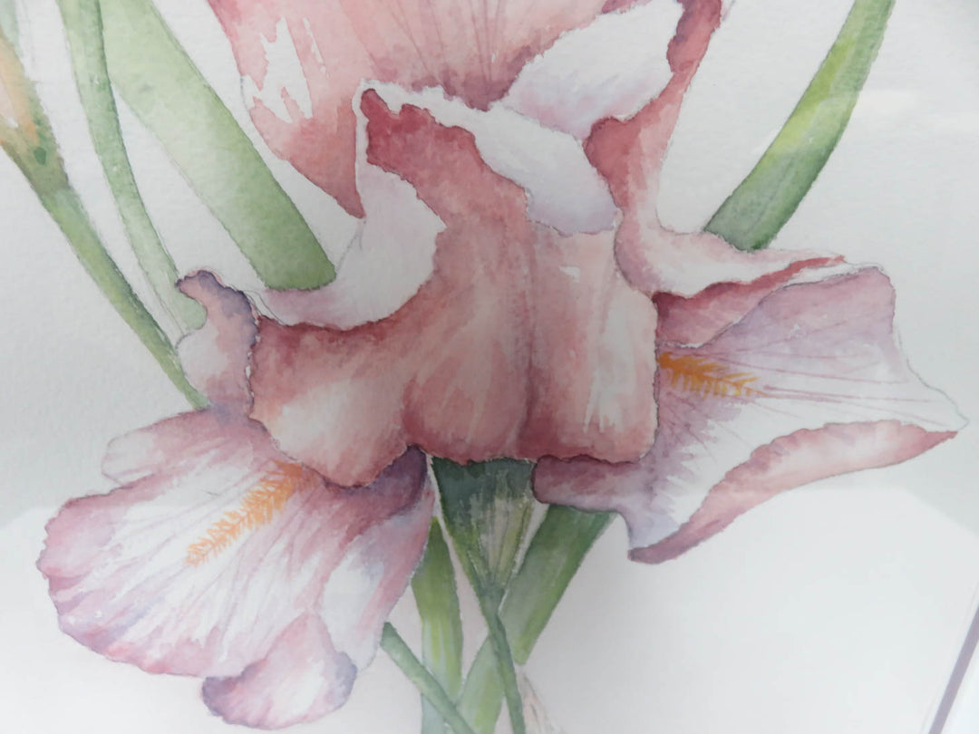 Irises- Original Watercolor Painting