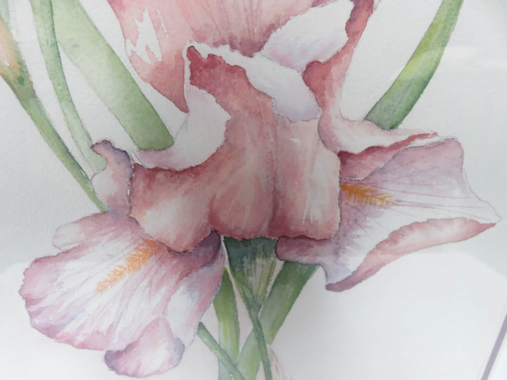 Irises- Original Watercolor Painting
