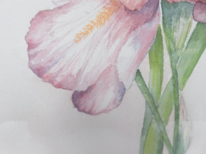 Irises- Original Watercolor Painting