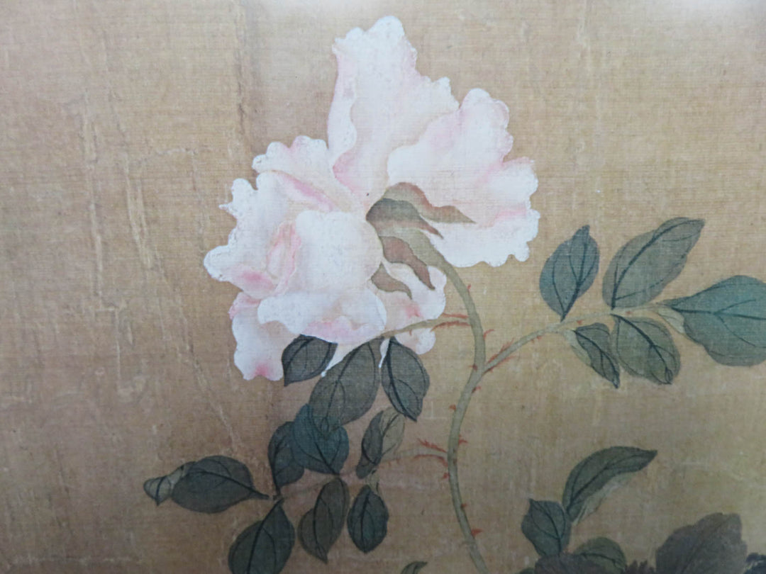 Pink Peony Print