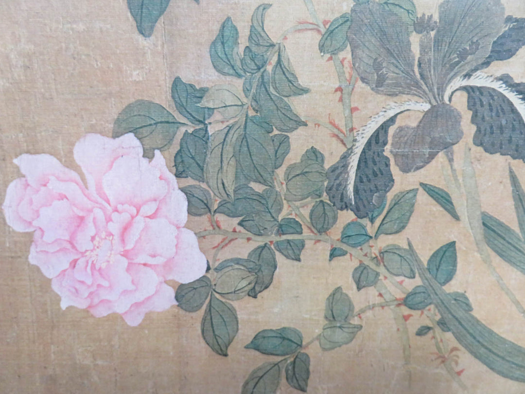 Pink Peony Print