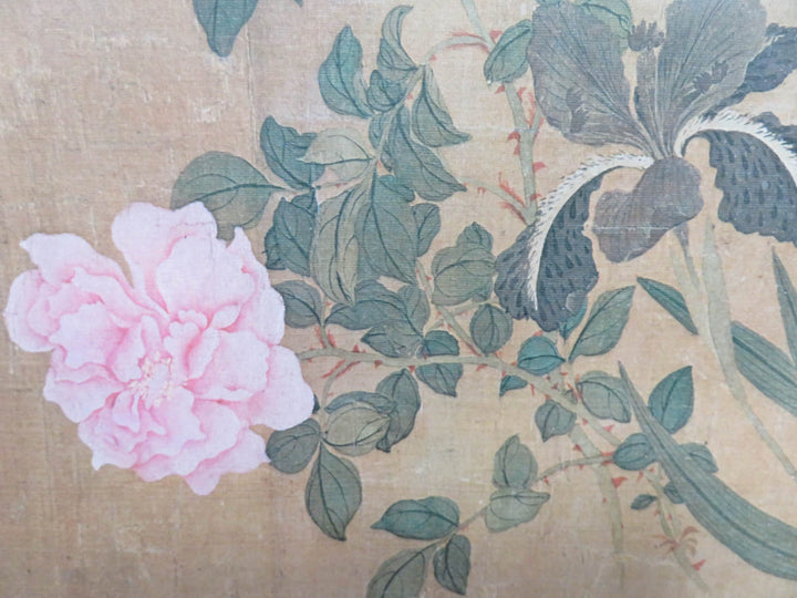 Pink Peony Print