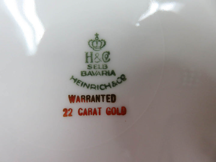 Heinrich & Co. Selb Bavaria Dinner Plates