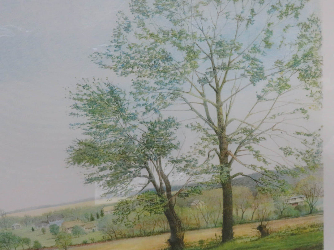 Artist Proof Signed Landscape