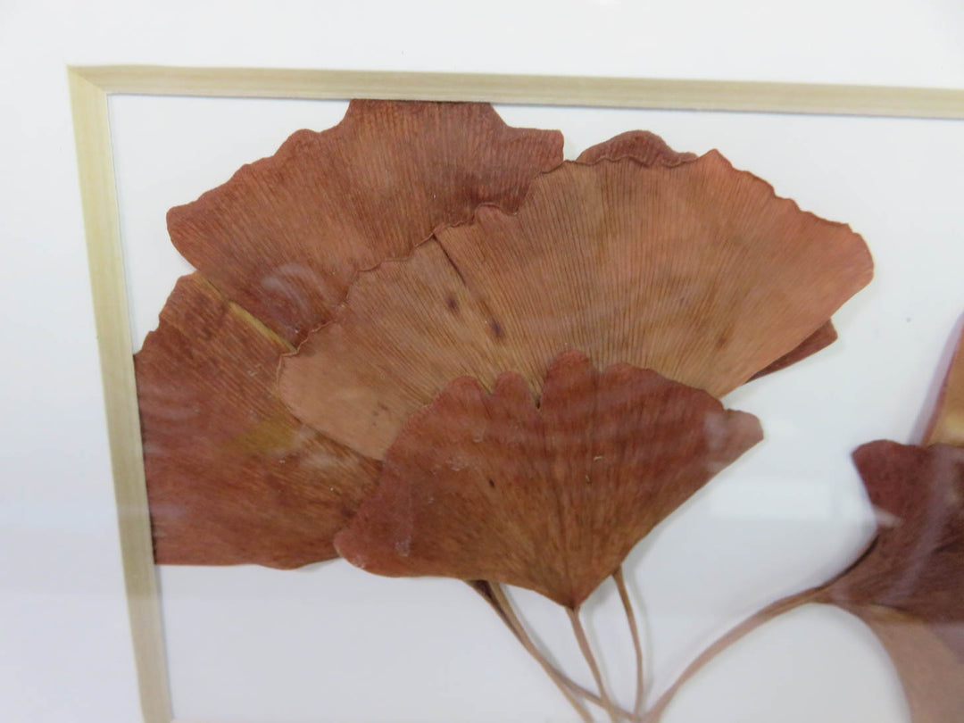 Ginko Leaf Artwork