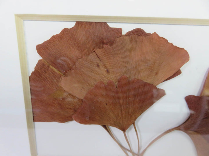 Ginko Leaf Artwork