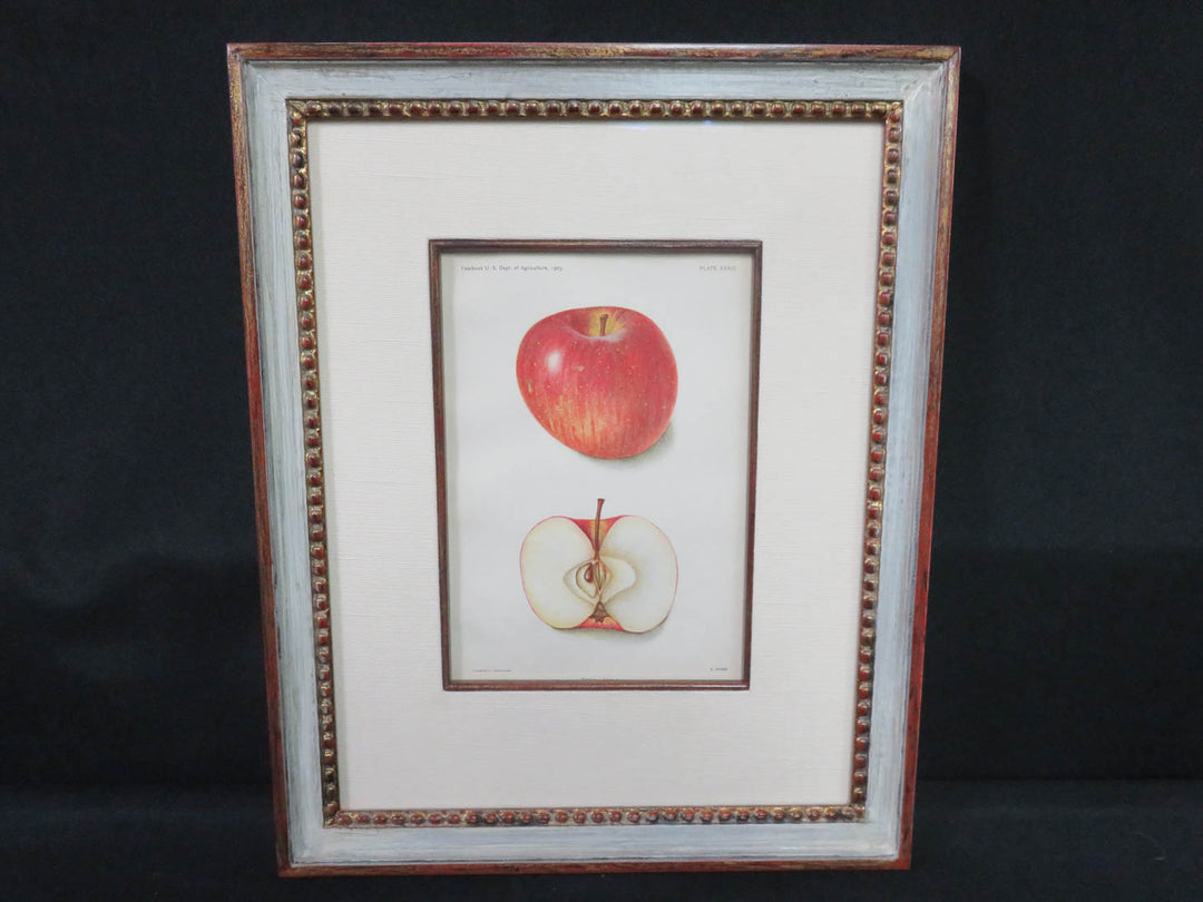 Apple Print