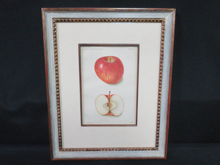 Apple Print