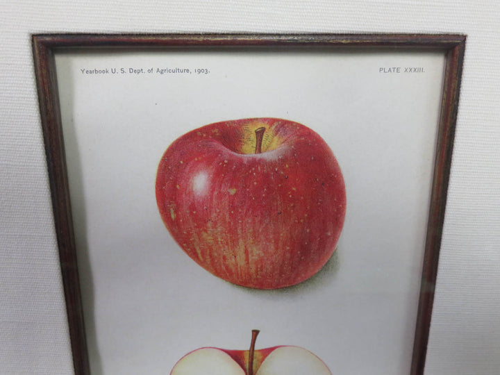 Apple Print