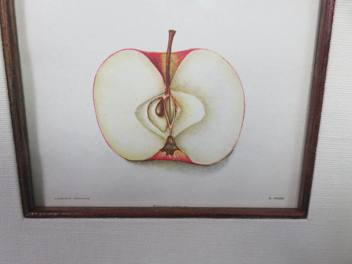 Apple Print