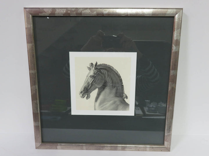 Colossal Horse Print