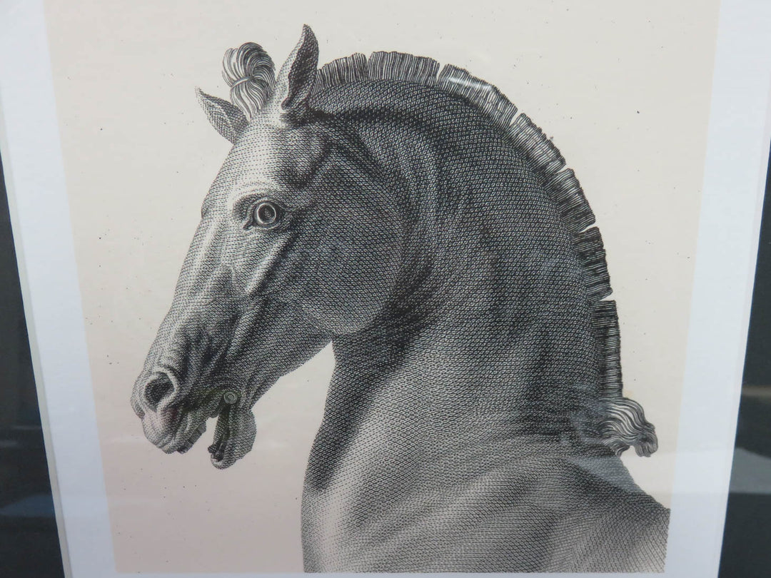 Colossal Horse Print