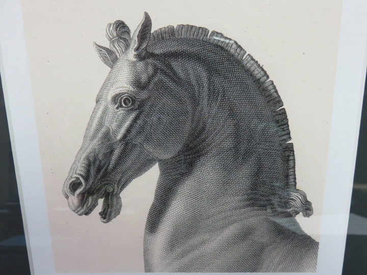 Colossal Horse Print