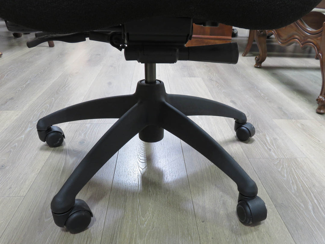 Adjustable Lifeform Office Chair